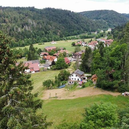 Apartmán Zum Eichbuehl St. Blasien Exteriér fotografie