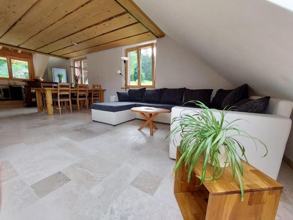 Apartmán Zum Eichbuehl St. Blasien Exteriér fotografie