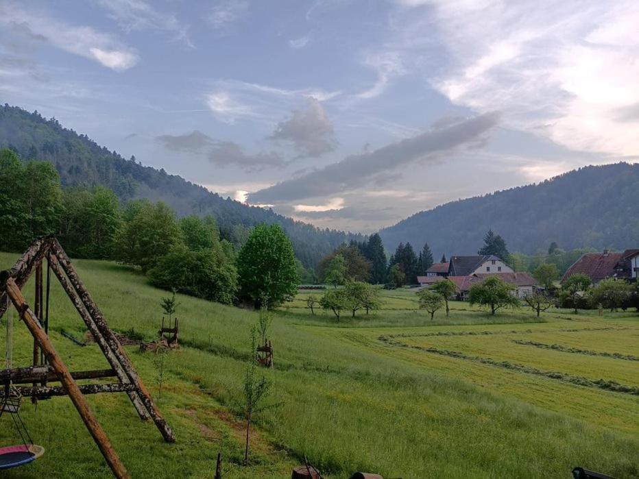 Apartmán Zum Eichbuehl St. Blasien Exteriér fotografie