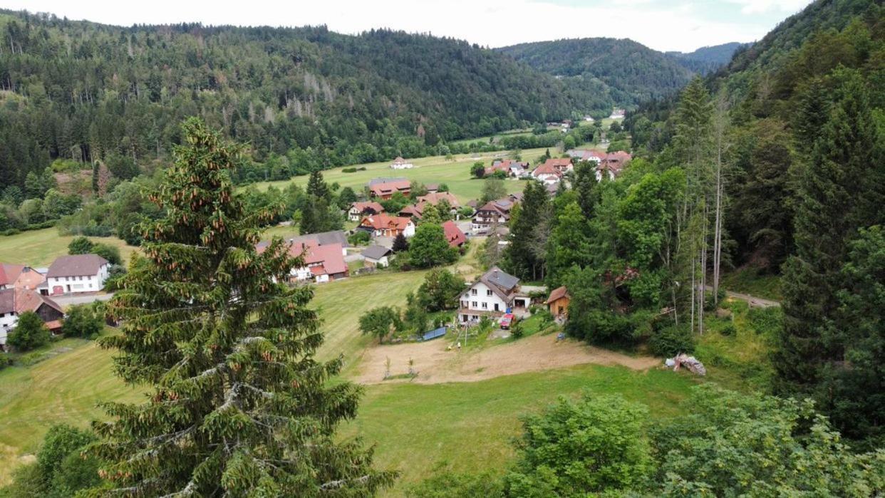 Apartmán Zum Eichbuehl St. Blasien Exteriér fotografie